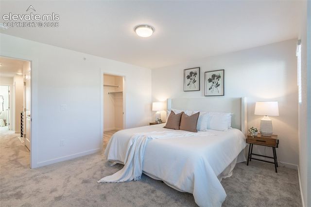 3372 Bivy Point, Colorado Springs, CO 80907