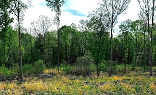 10 Conner Ridge Road, Efland, NC 27243