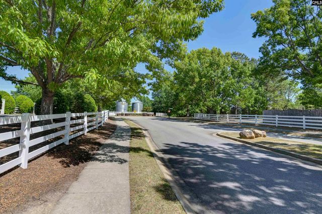 207 Bantam Place, Lexington, SC 29072