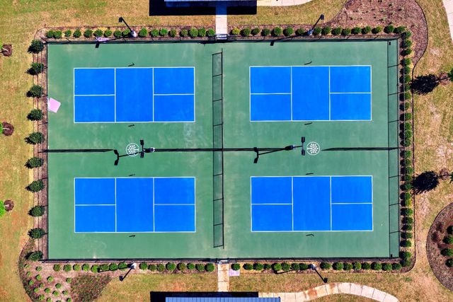 9073 Swallowtail Street, Frisco, TX 75035