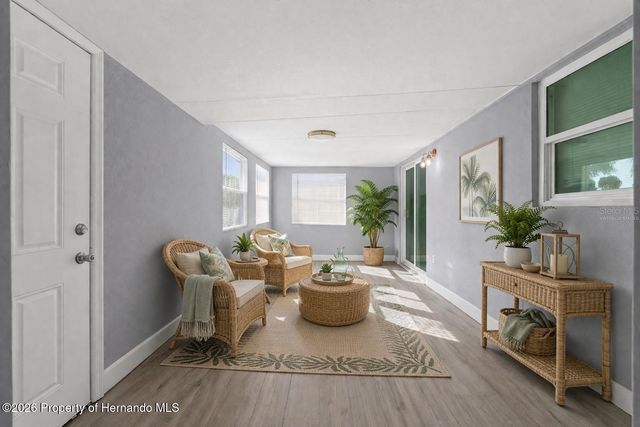 6602 Treehaven Drive, Spring Hill, FL 34606