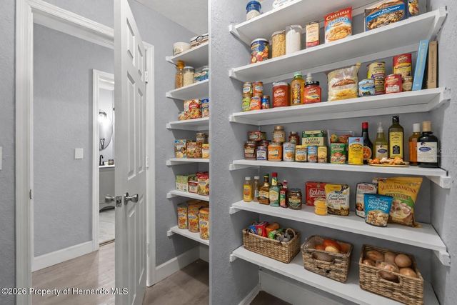 6602 Treehaven Drive, Spring Hill, FL 34606