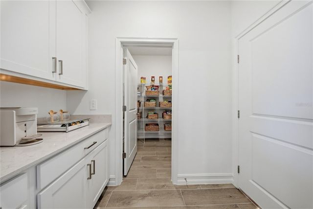 9471 RUNAWAY BREEZE DRIVE, Land O Lakes, FL 34637