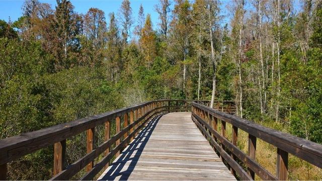 9471 RUNAWAY BREEZE DRIVE, Land O Lakes, FL 34637