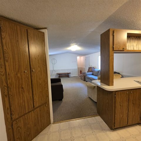 9049 N 80th Avenue, Pentwater, MI 49449