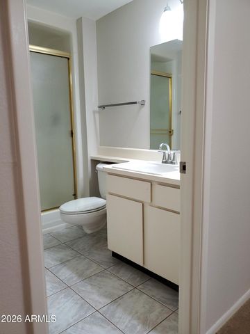 18019 N 132ND Avenue, Sun City West, AZ 85375