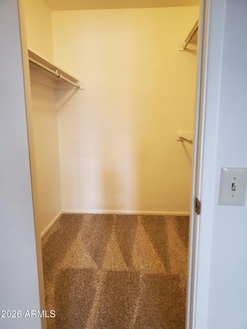 18019 N 132ND Avenue, Sun City West, AZ 85375