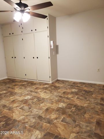 18019 N 132ND Avenue, Sun City West, AZ 85375