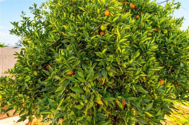 28960 Olympia, Menifee, CA 92586