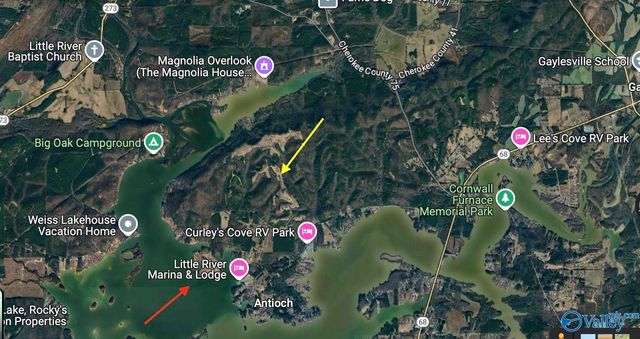 Lot 4948 County Road 767, Cedar Bluff, AL 35959