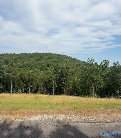Lot 4948 County Road 767, Cedar Bluff, AL 35959