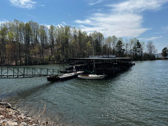 497 Lakeview Drive, Butler, TN 37640