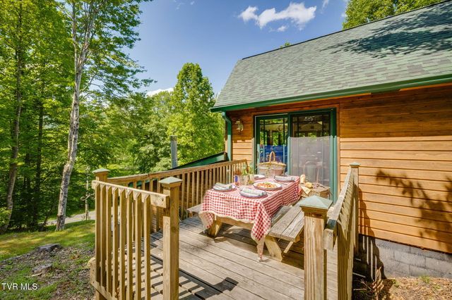 497 Lakeview Drive, Butler, TN 37640