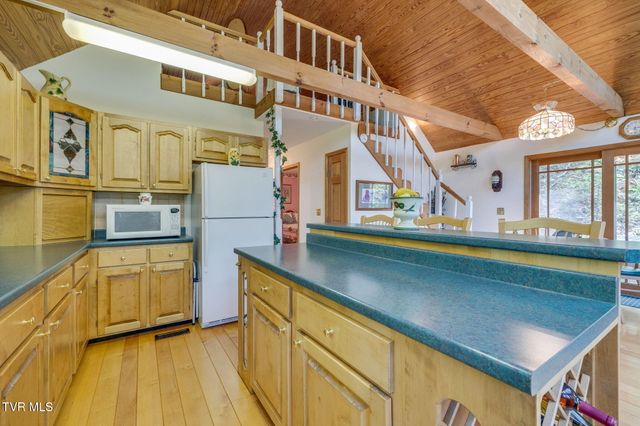 497 Lakeview Drive, Butler, TN 37640