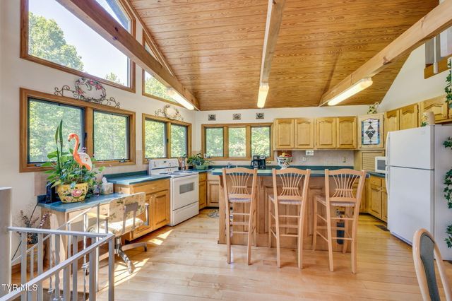 497 Lakeview Drive, Butler, TN 37640