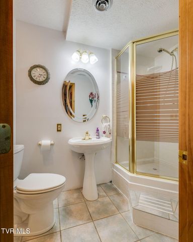 497 Lakeview Drive, Butler, TN 37640