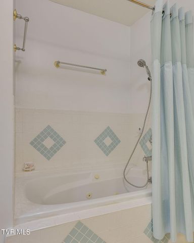 497 Lakeview Drive, Butler, TN 37640
