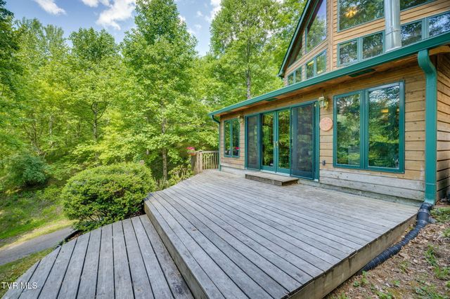 497 Lakeview Drive, Butler, TN 37640