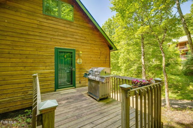 497 Lakeview Drive, Butler, TN 37640