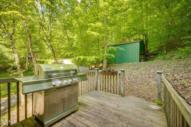 497 Lakeview Drive, Butler, TN 37640
