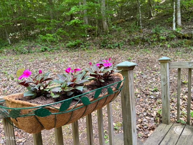 497 Lakeview Drive, Butler, TN 37640