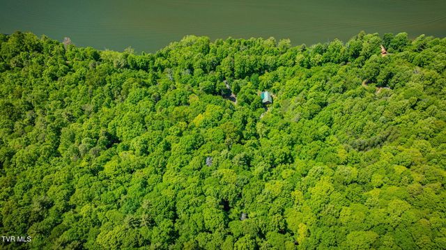 497 Lakeview Drive, Butler, TN 37640