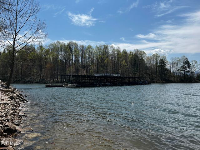 497 Lakeview Drive, Butler, TN 37640