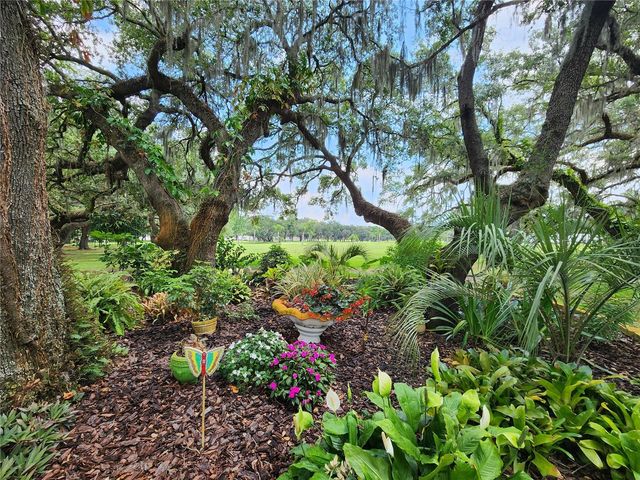 37135 SANDRA AVENUE, Zephyrhills, FL 33542