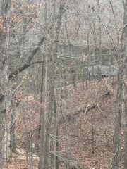 Winstone Lane, Bella Vista, AR 72715