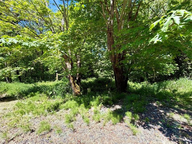 190 Jackson Highway S, Toledo, WA 98591