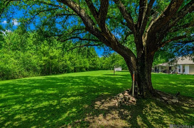 9942 Lockhart Rd, Denham Springs, LA 70726