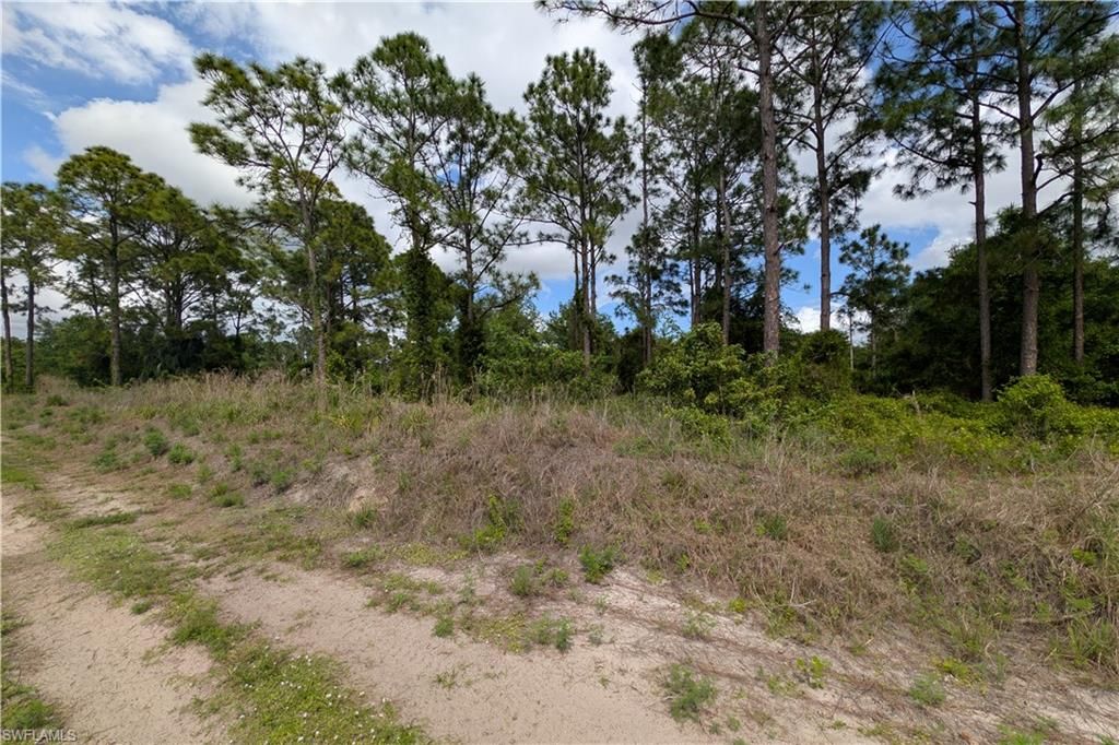 346 Genoa AVE S, LEHIGH ACRES, FL 33974 — photo 5