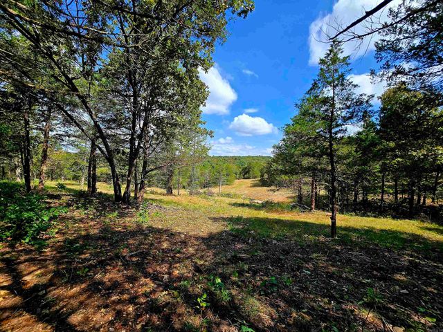 90 Brahma Trail, Mountain Home, AR 72653