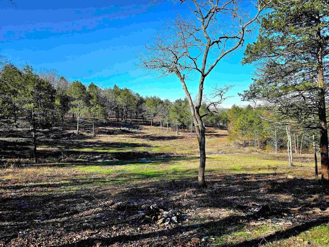 90 Brahma Trail, Mountain Home, AR 72653