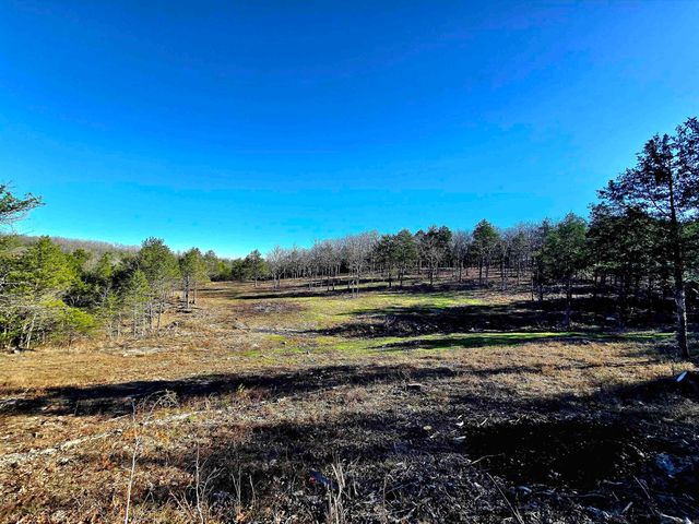 90 Brahma Trail, Mountain Home, AR 72653