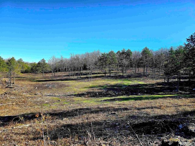 90 Brahma Trail, Mountain Home, AR 72653