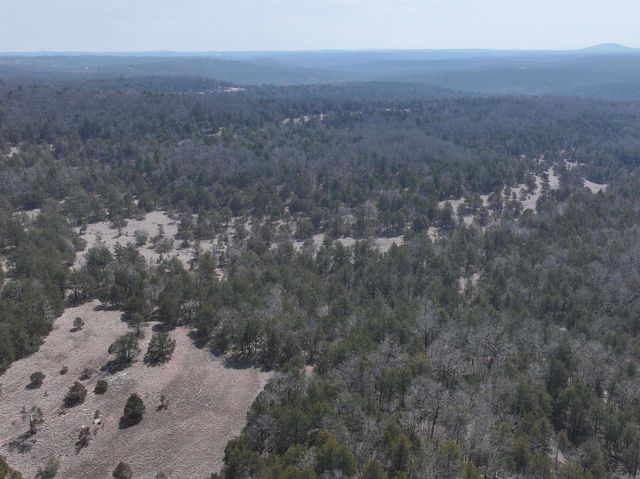 90 Brahma Trail, Mountain Home, AR 72653