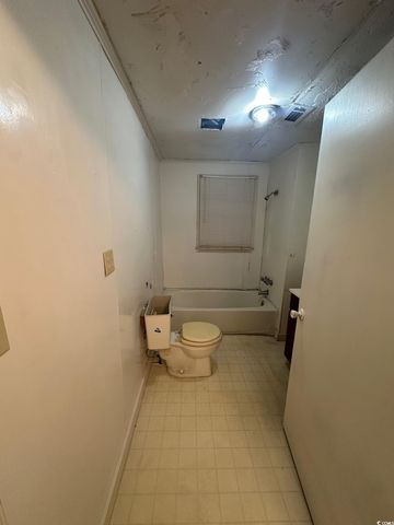 303 Leroy Bethea Rd, Mullins, SC 29574