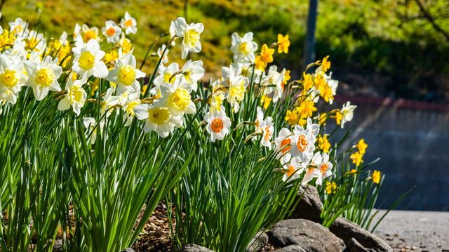 6023 Hillcrest Road, Medford, OR 97504