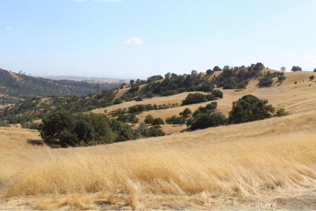 71901 Vineyard Canyon Road, San Miguel, CA 93451