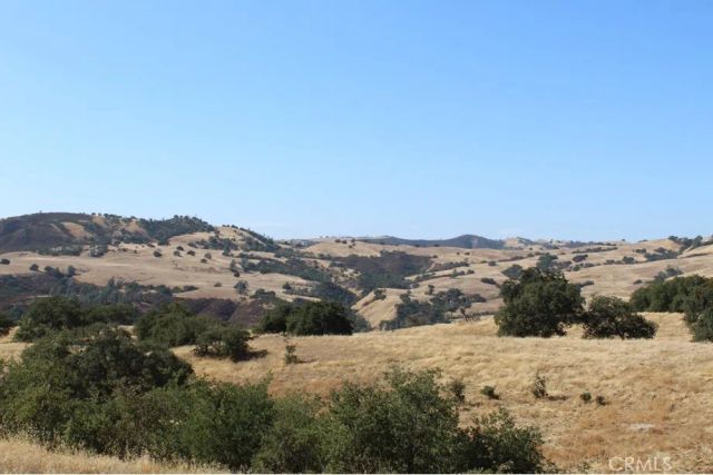 71901 Vineyard Canyon Road, San Miguel, CA 93451