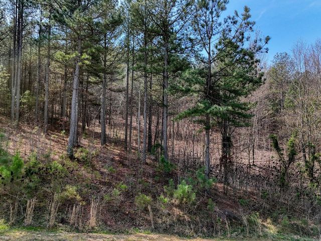 lot 38 Loftis Mountain, Blairsville, GA 30512