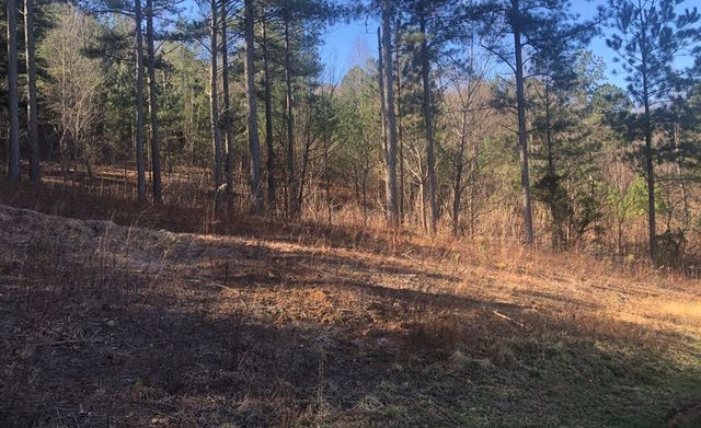 lot 38 Loftis Mountain, Blairsville, GA 30512