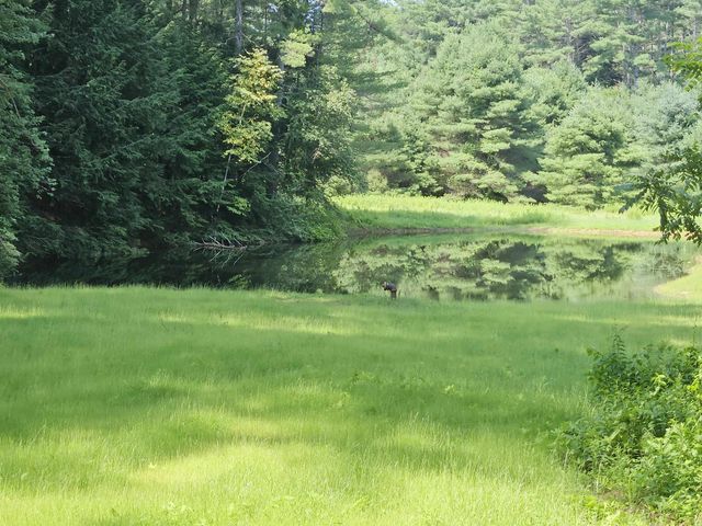 14 Bellmore Drive, Orford, NH 03777