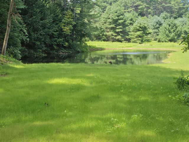 14 Bellmore Drive, Orford, NH 03777