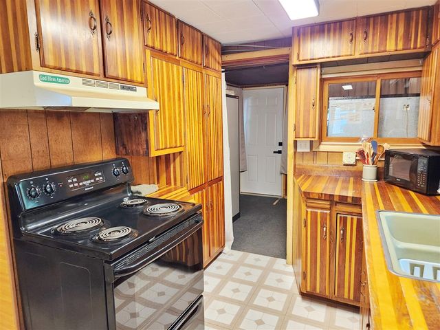 8223 W Cypress Avenue, Baldwin, MI 49304