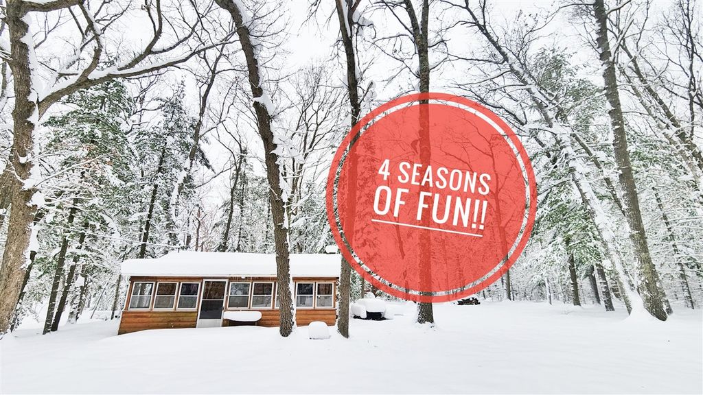 8223 W Cypress Avenue, Baldwin, MI 49304