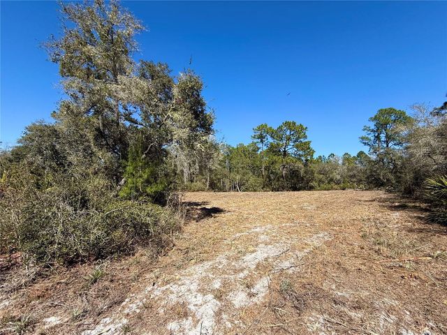 LOT 11 POINCIANA STREET, Eustis, FL 32736