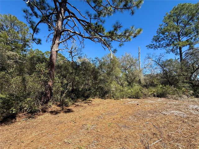 LOT 11 POINCIANA STREET, Eustis, FL 32736