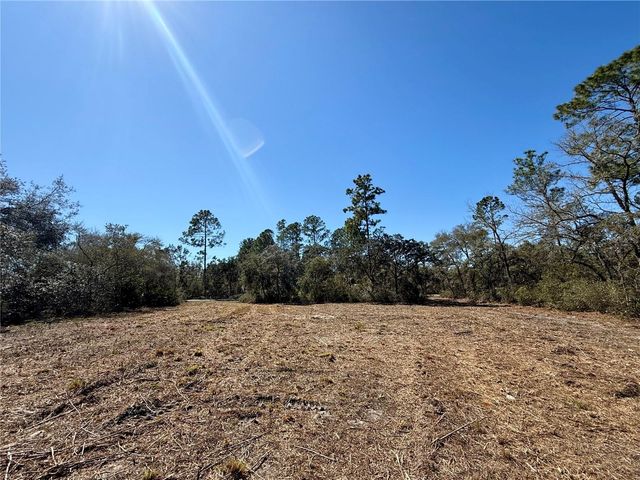 LOT 11 POINCIANA STREET, Eustis, FL 32736